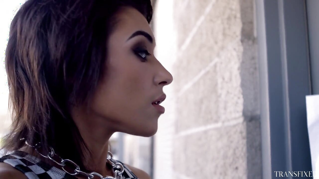 טרנספיקס - הבוסית של קברט טרנס ברוקלין גריי לא יכולה להתאפק מלזיין את הזמרת החדשה אריאל דמור