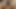 TROROSE DESI INDIAN BHABHI NEW SEX VIDEO