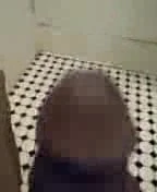 Wack wack wack