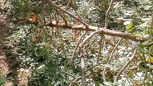Amateur couple improvises a sudden fuck in the woods