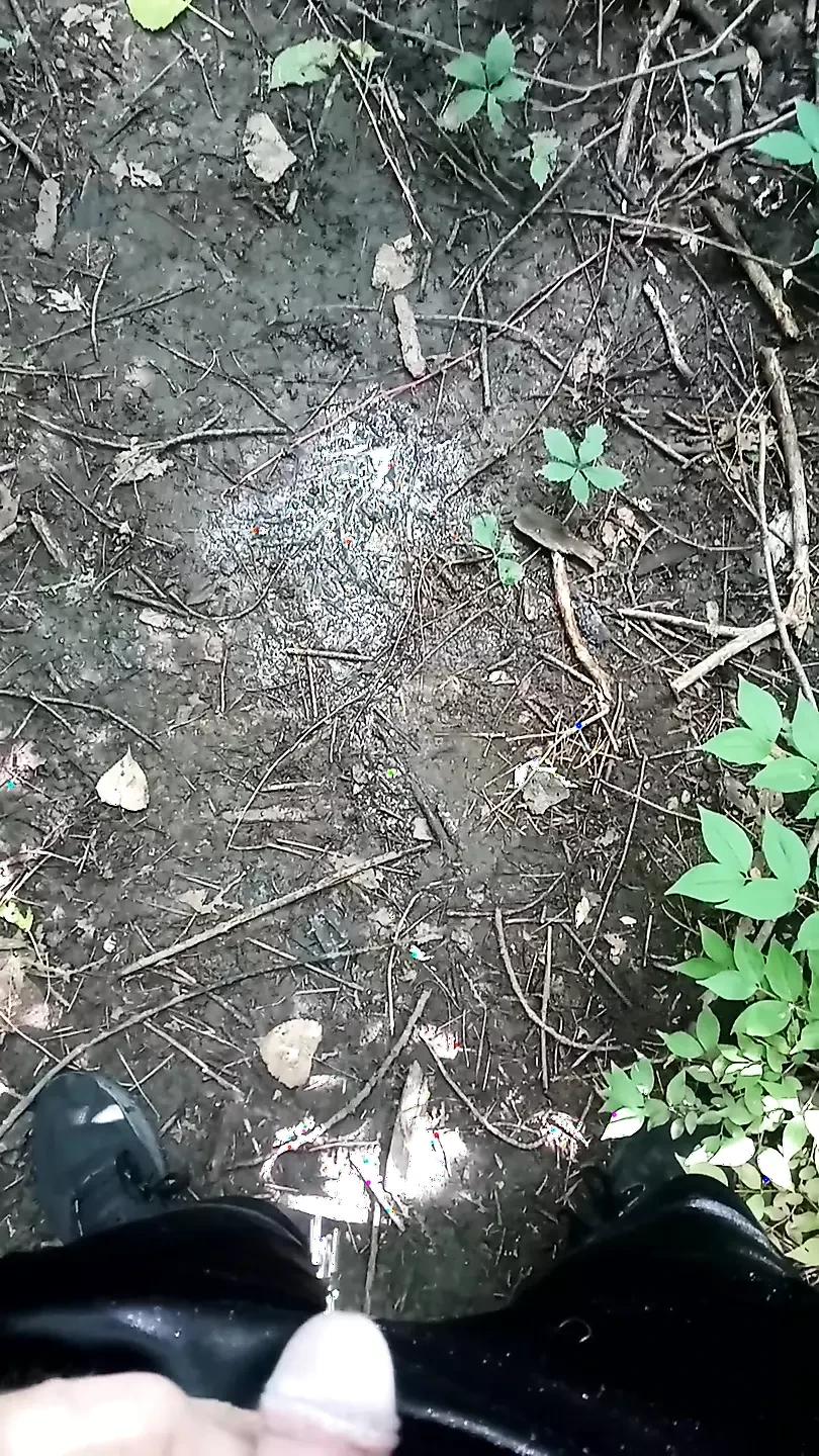 Добірка сечі на відкритому повітрі, том 1