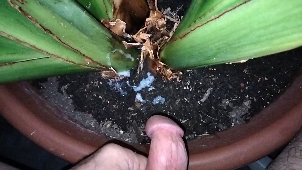 Handjob