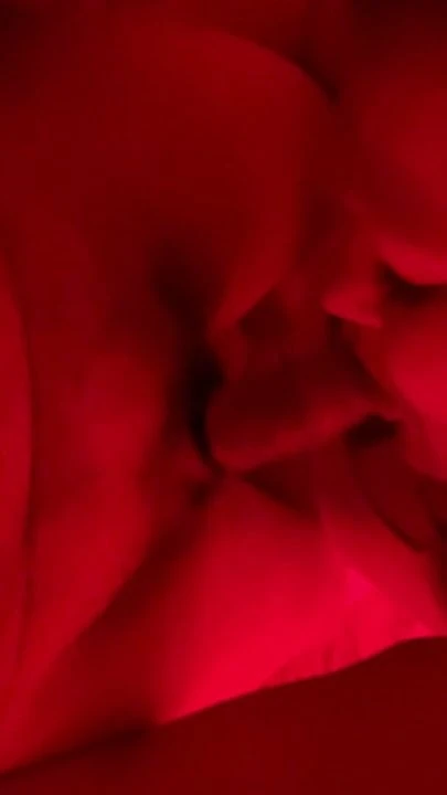 Blowjob từ fwb