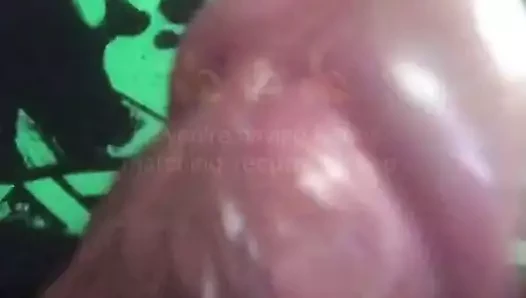 Videochat