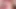 Banner tarafından Nothosaur