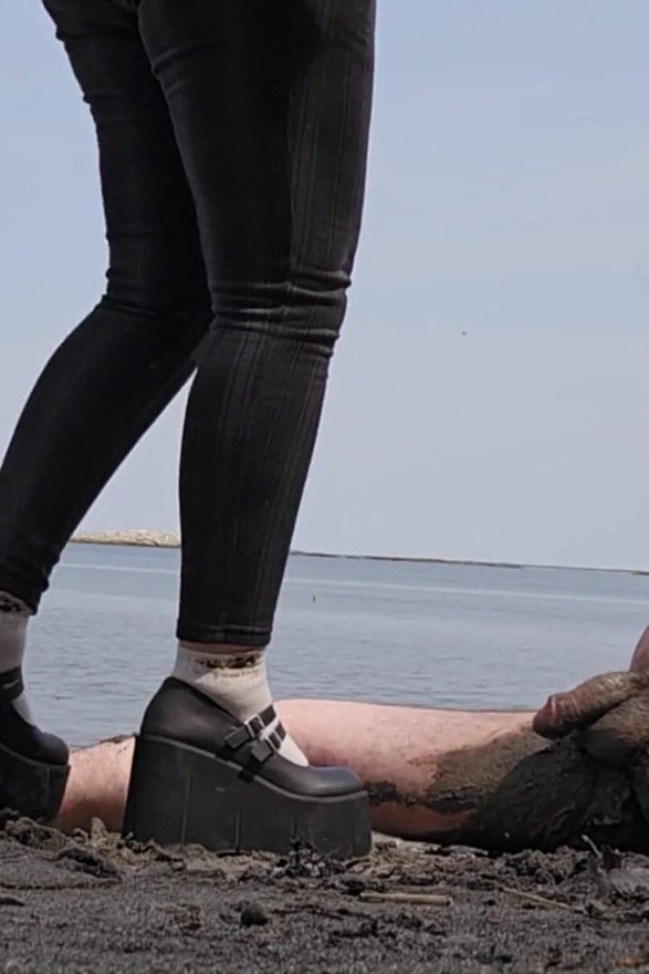 Gaspesie Cock Trampling