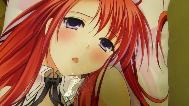 Dakimakura fuck 02