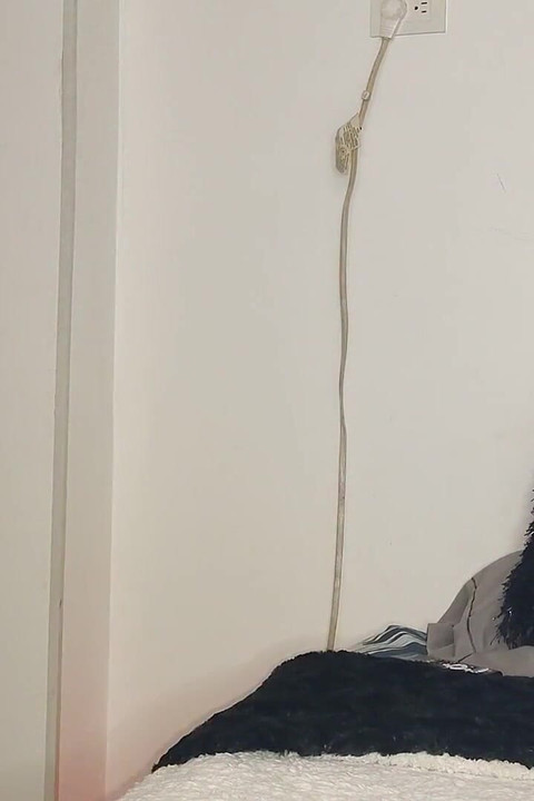 Dirty Lil Midget Vol.9