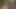 Daddysexfiles Colby Collins ve Mike Dreyden ormanda mastürbasyon yapıyor ve yarak ziyafeti çekiyor