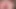 Dildo ass femboy gay anal slut