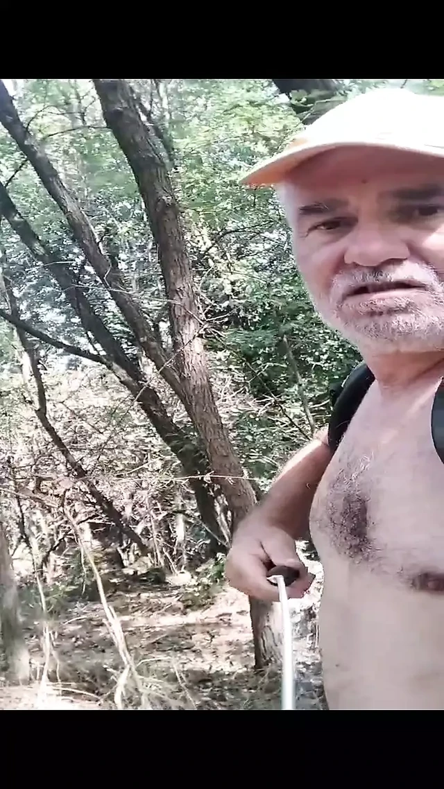 Walk in woods