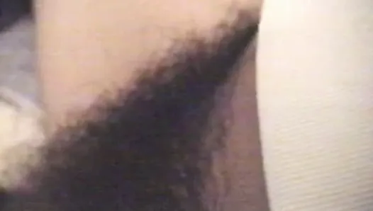 Hairy Pussy - Bushy Pussy - Hairy Hairy Pussy