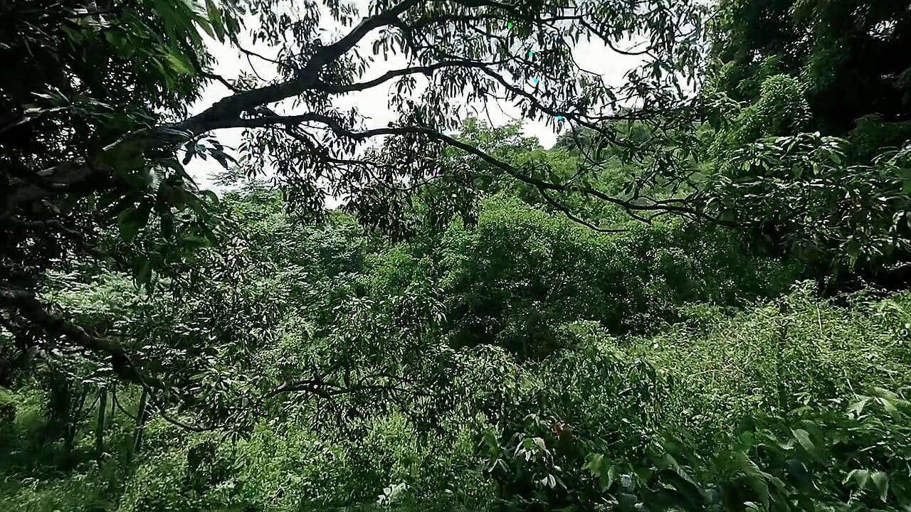 Indian Desi Village outdoor hard sex with couple.