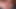 成熟したクイーンが膣とお尻を広げられる