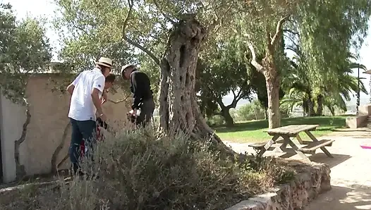 Derleme, sikiş turunda