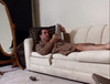 Pregled videozapisa