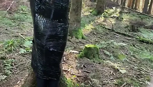 Domina, herrin, april - isolation