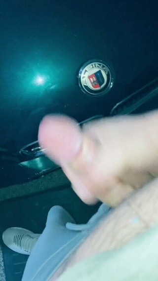 Sexe en voiture