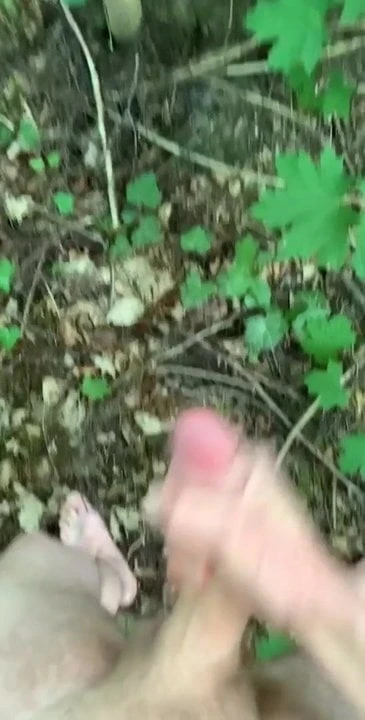 Masturbationen im Wald