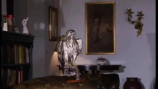 Bizarre Fetish