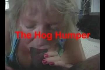 Suck it Honkey!