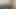 Exciting First-Time Anal for Catnip Lover on Camera!