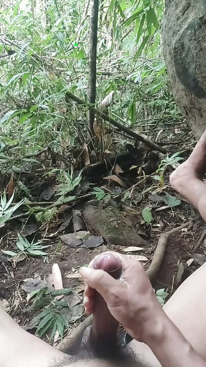 Soksoka in jungle