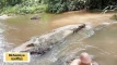 Pratinjau video