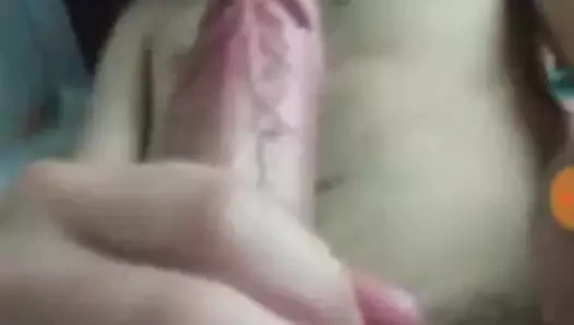 Pajero colombiano