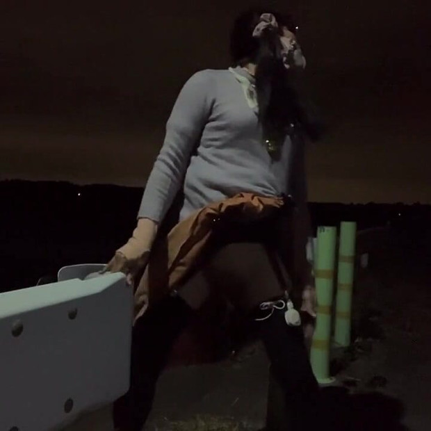 独立训练No32夜间散步中的狗式