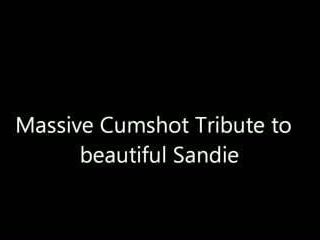 Enorme omaggio di sborrata alla bellissima Sandie