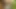 BBC Forest Masturbation & Cum 05.03.2017
