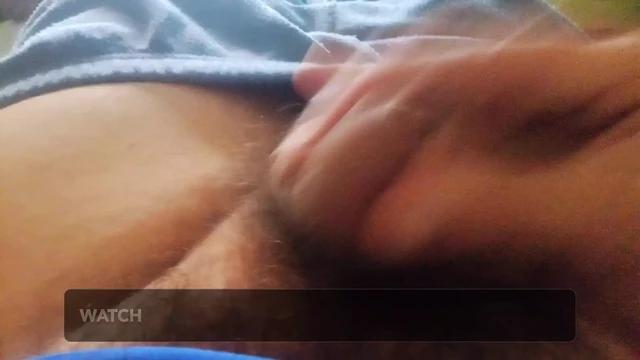 Resting Cock