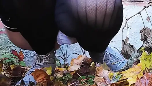 Красивый осенний день