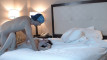 Pregled videozapisa
