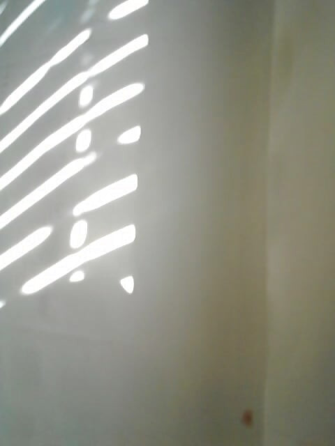 Prysznic złośliwiec