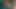 Büyük siyah horoz yapar kedi krem