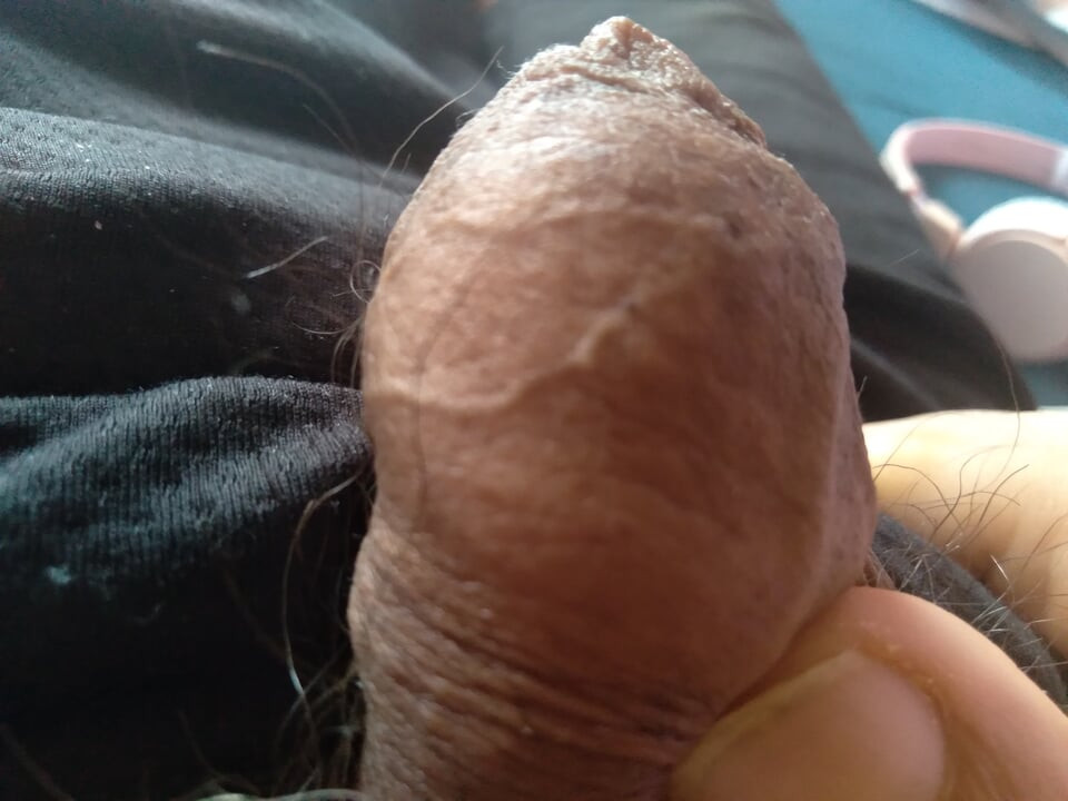 Big cock wants a mouth to be sucked