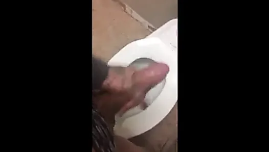 Public Bathroom Jerkoff Session