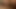 Teen black girl masturbates with oil for the webcam