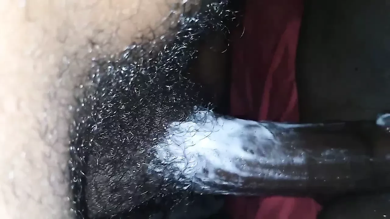 牵牛花