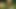 Massive Anal Gangbang in the Garden