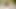 Sexy German babe gets her mouth sprayed with warm sperm
