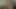 Iki sarışın Alman milfs açık onların pussies için bir tek paylaşılan horoz içinde bir tutkulu aşk üçlü için paylaşmak için gerçek zamanlı