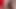 Daddy lonely fingering cum pomp for a dick Sperm close Up 4K