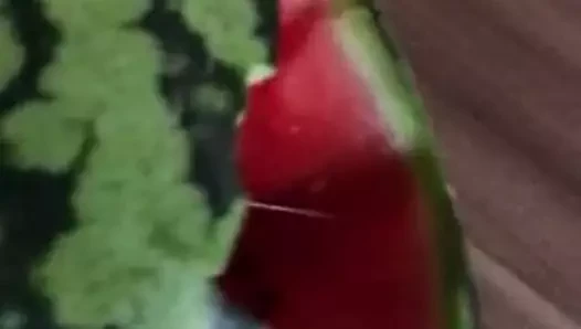Kavun sikişi