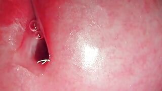 Gros plan microscopique sur mon pénis