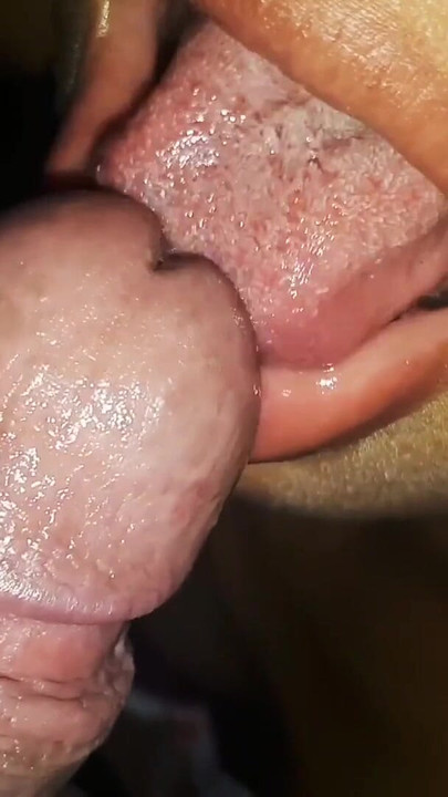 Epic moment from "sexy mexican sucks her perverted cousin's cock and she sticks her tongue in his glans"