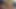 小柄なビキニを着たAughitesねばねばしたBJ