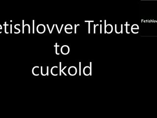 Fetishlovver Tribute to cuckold